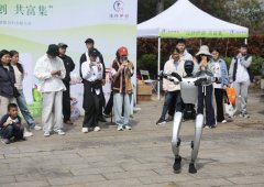 早已从概念感可体验的现实